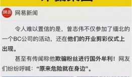 官方爆料缅北诈骗案件最新,官方披露惊人内幕